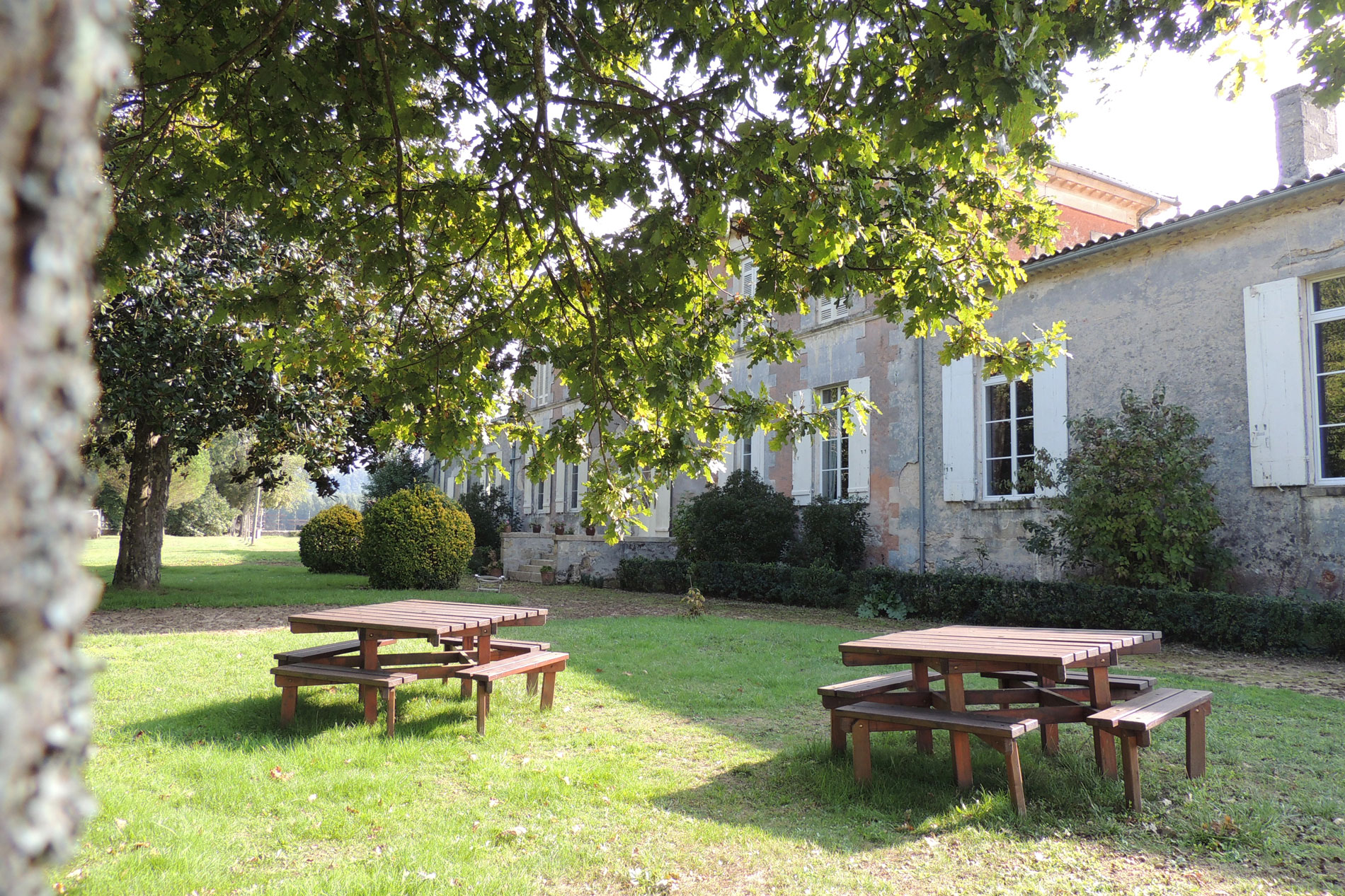The garden