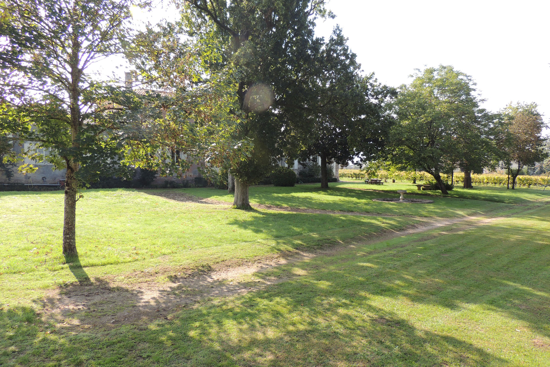 The garden