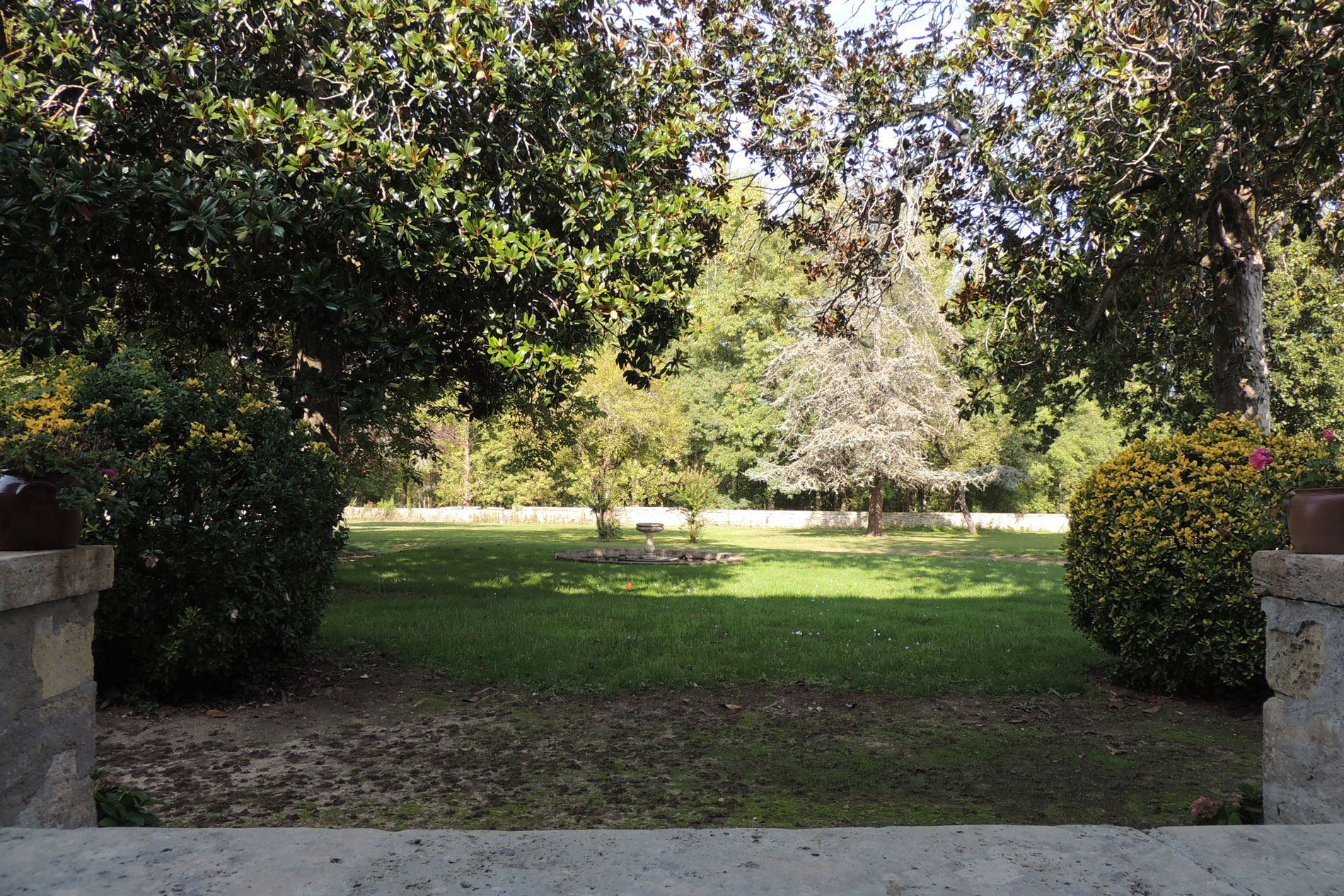 The garden