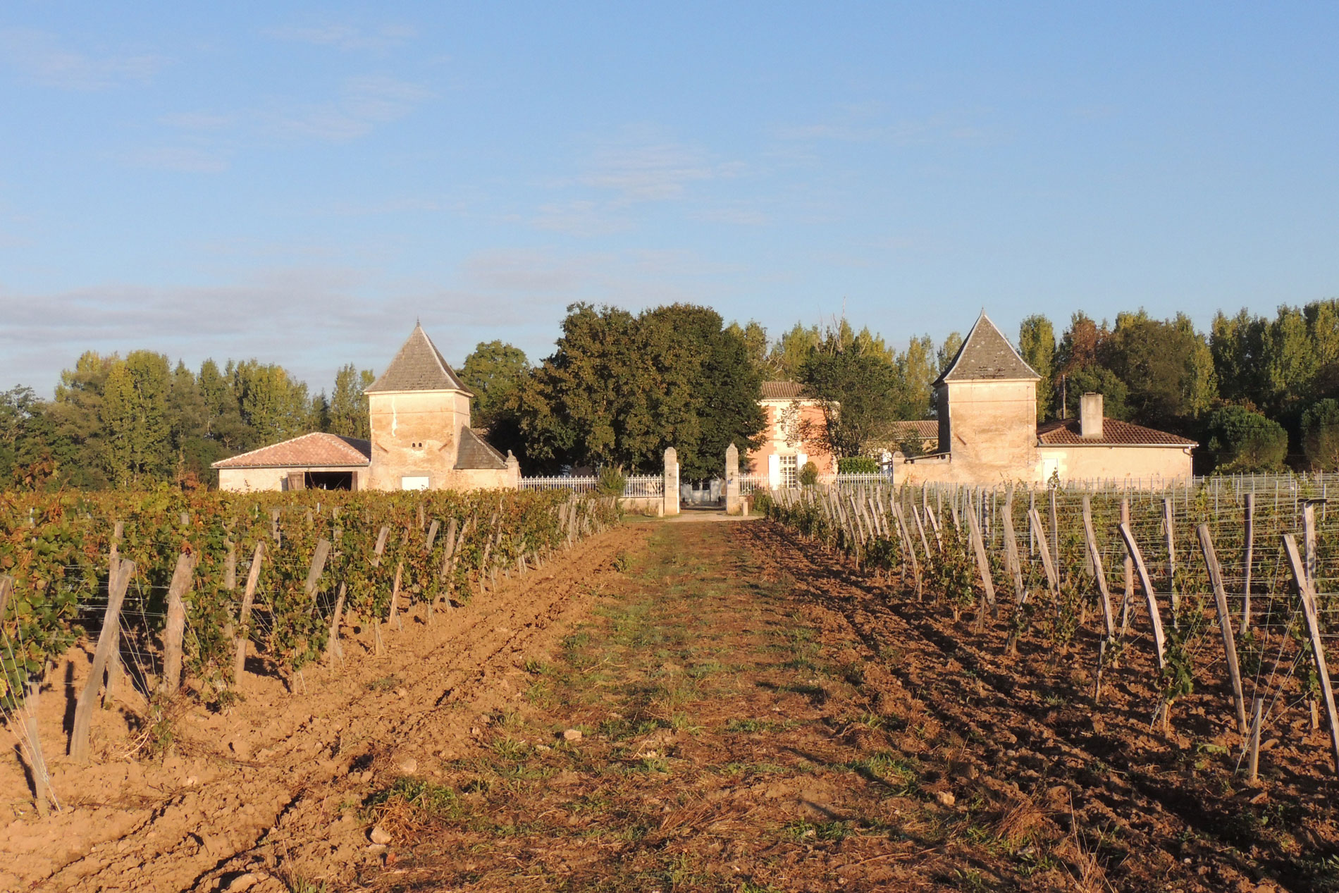 The castle
