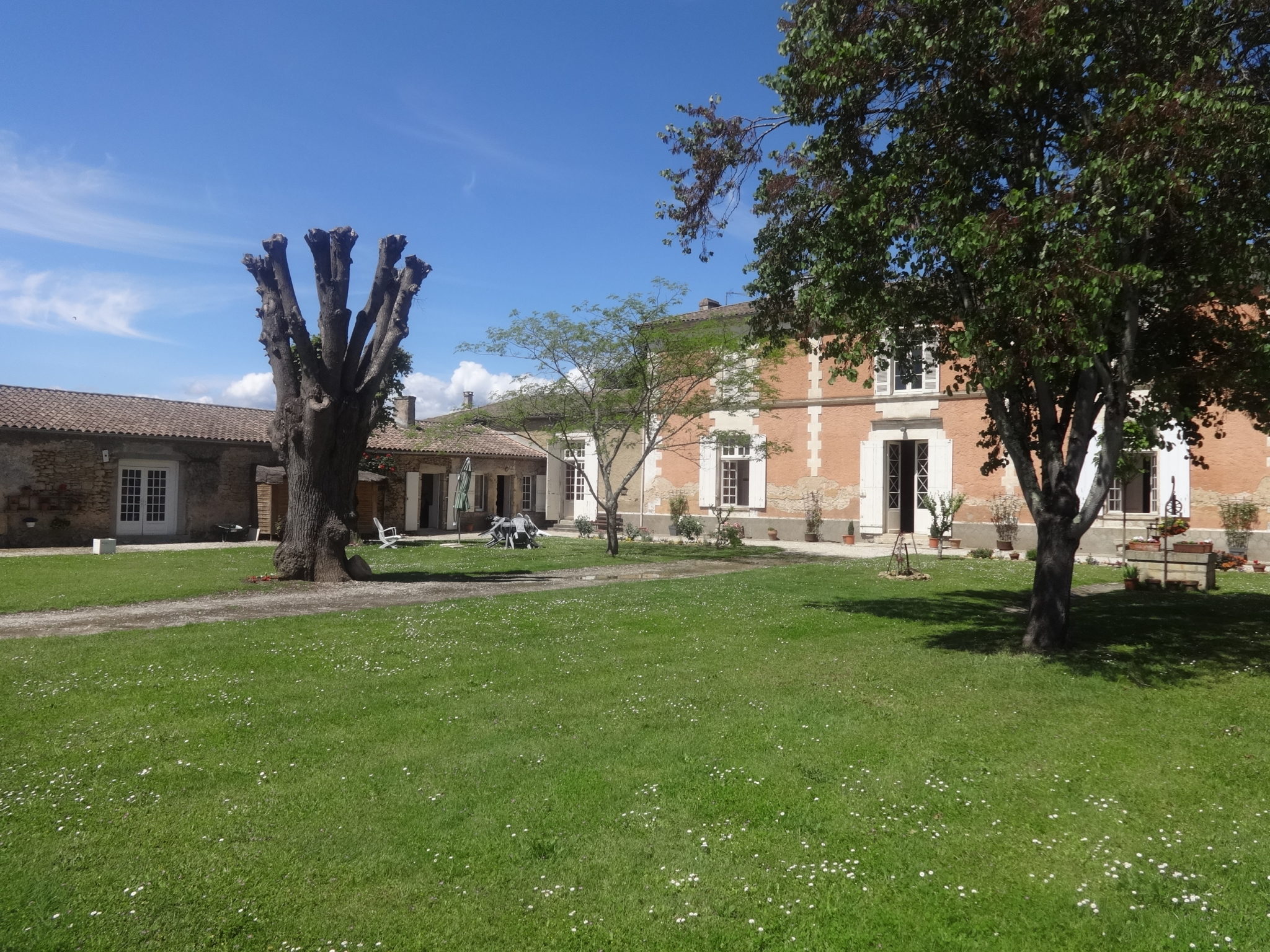 The Courtyard